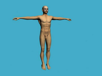 Descarga gratis 3D Modelos!