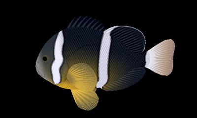 Descarga gratis 3D Modelos!