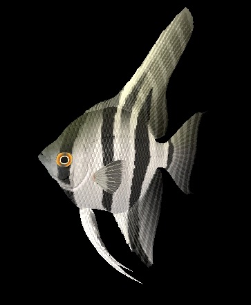 Descarga gratis 3D Modelos!