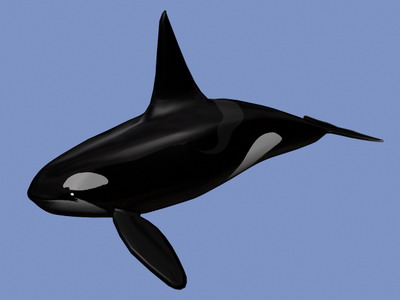 Descarga gratis 3D Modelos!