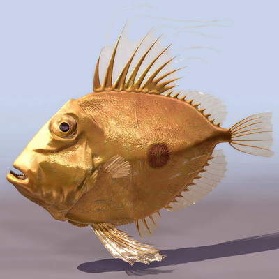 Descarga gratis 3D Modelos!
