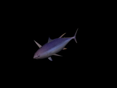 Descarga gratis 3D Modelos!