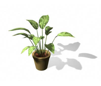 3dmax