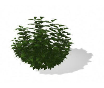 3dmax
