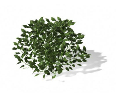3dmax