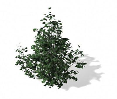 3dmax