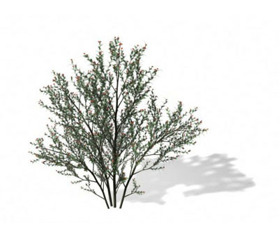 3dmax