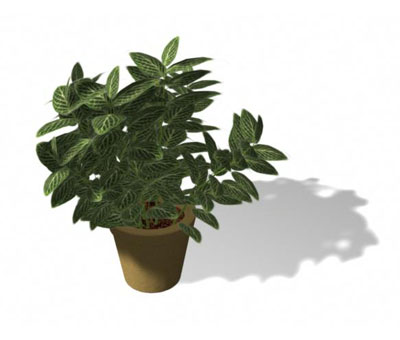 3dmax