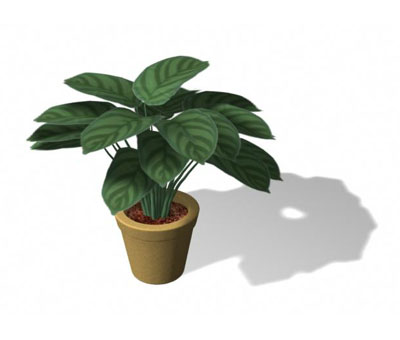 3dmax
