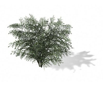 3dmax
