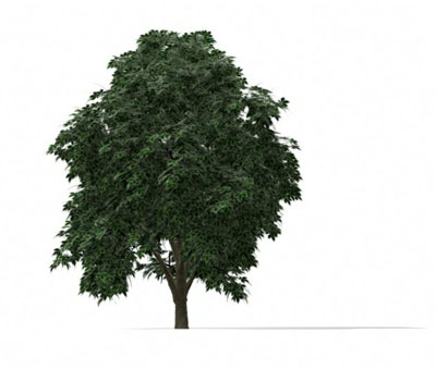 3dmax