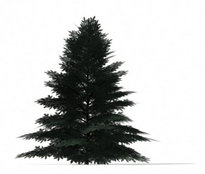 3dmax