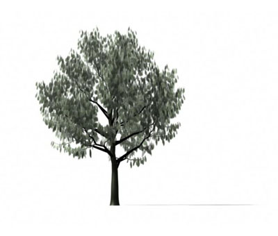 3dmax
