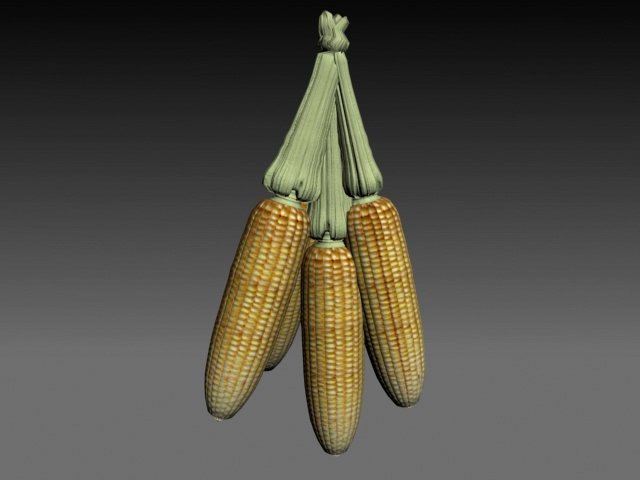 Descarga gratis 3D Modelos!