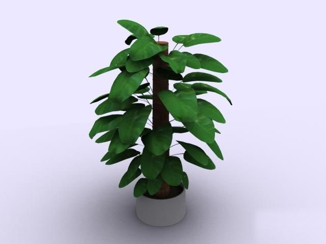 Descarga gratis 3D Modelos!