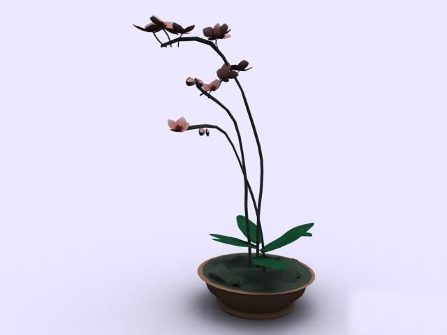 Descarga gratis 3D Modelos!