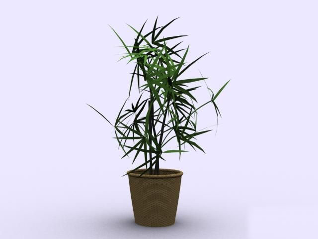 Descarga gratis 3D Modelos!