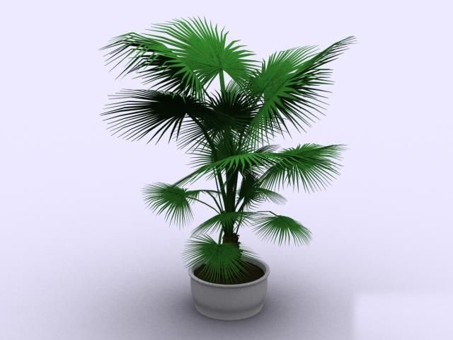 Descarga gratis 3D Modelos!