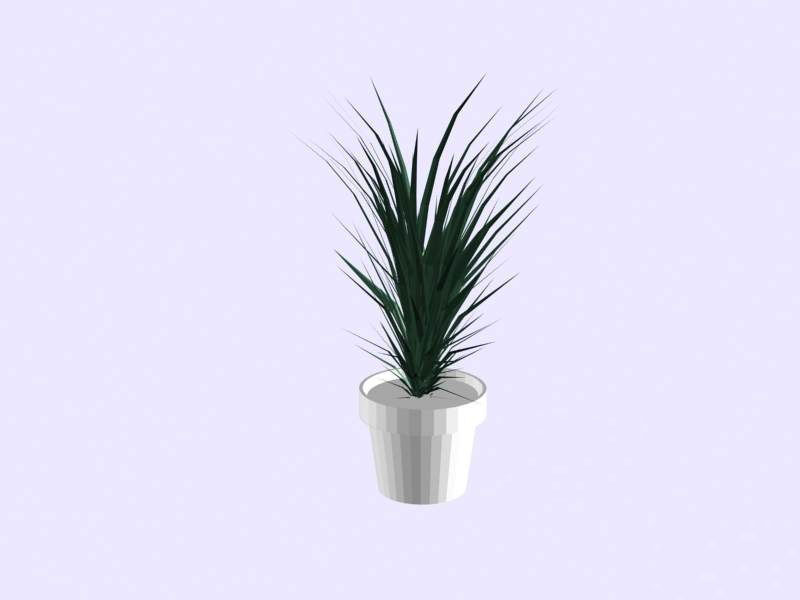 Descarga gratis 3D Modelos!