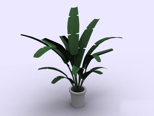 Descarga gratis 3D Modelos!