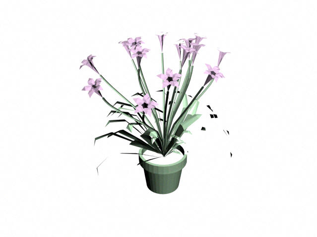 Descarga gratis 3D Modelos!