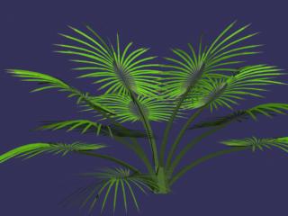 Plantas 003-50