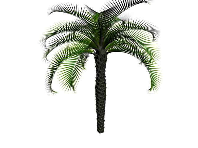 Descarga gratis 3D Modelos!