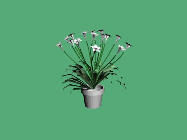 Descarga gratis 3D Modelos!