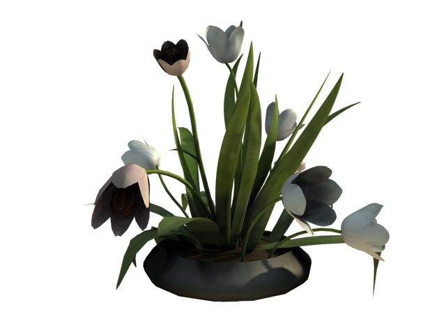 Descarga gratis 3D Modelos!