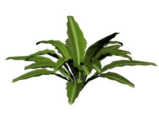 Descarga gratis 3D Modelos!