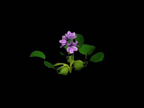 Descarga gratis 3D Modelos!