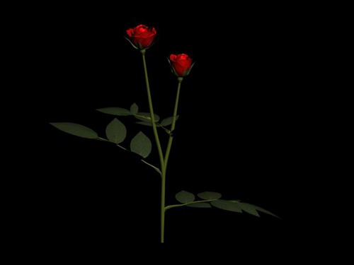 Descarga gratis 3D Modelos!