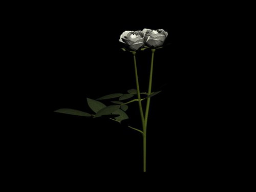 Descarga gratis 3D Modelos!
