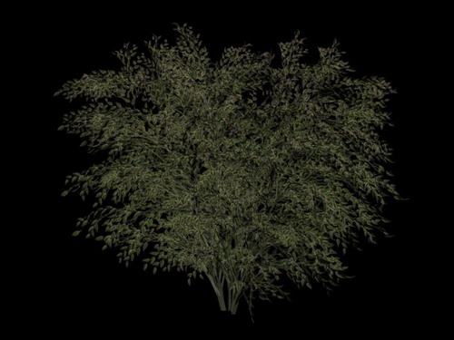 Descarga gratis 3D Modelos!