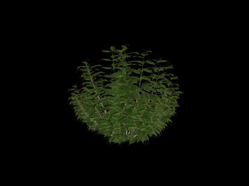 Descarga gratis 3D Modelos!