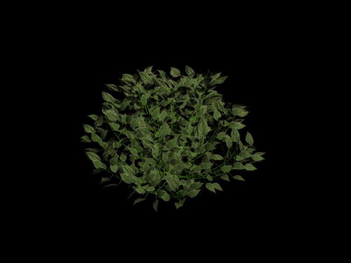 Descarga gratis 3D Modelos!