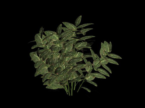 Descarga gratis 3D Modelos!