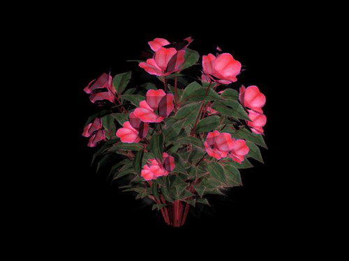 Descarga gratis 3D Modelos!