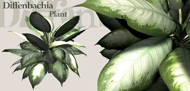 Descarga gratis 3D Modelos!