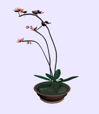 Descarga gratis 3D Modelos!