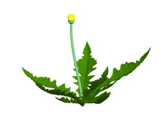 Descarga gratis 3D Modelos!