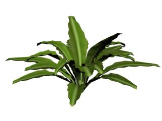 Descarga gratis 3D Modelos!