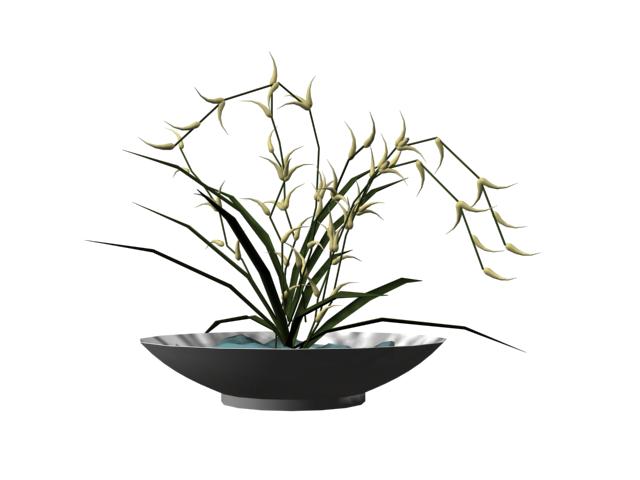 Descarga gratis 3D Modelos!