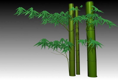 Descarga gratis 3D Modelos!