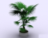 Plantas 004-37