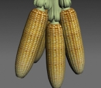Plantas 006-3