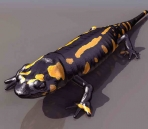 2 juegos Lagartos animales  10