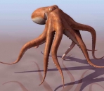 Pulpo animales  15