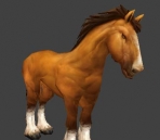 caballos animales 39-4
