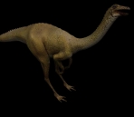 Dinosaurios animales  52